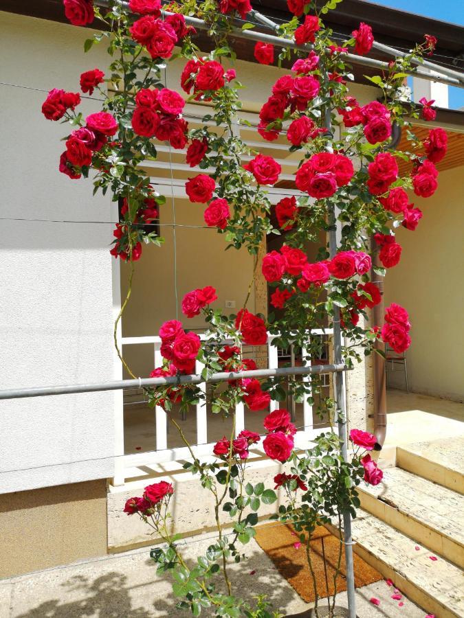 Brize Guest House Tuzla Luaran gambar